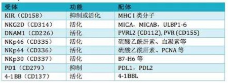 免疫細(xì)胞存儲