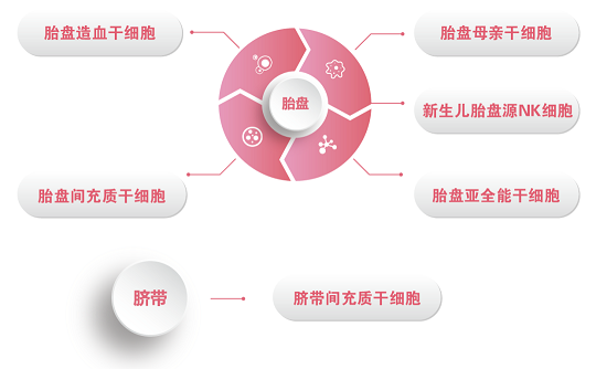 為什么存儲胎盤干細胞