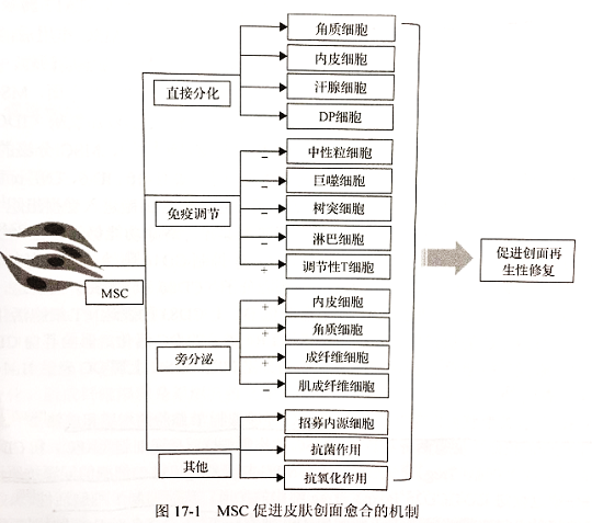 干細胞存儲