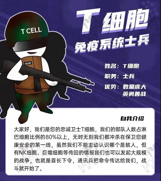干細胞抗衰