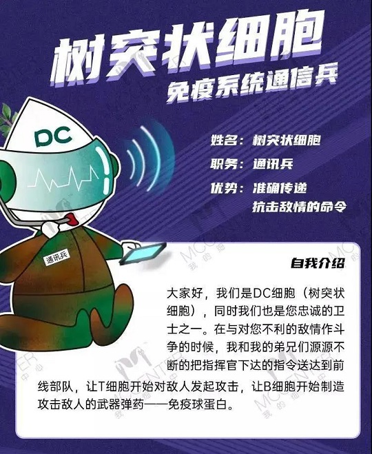 干細胞抗衰