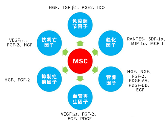 間充質干細胞存儲