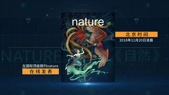 間充質干細胞治療