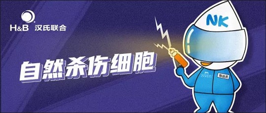 存NK細胞選漢氏聯(lián)合