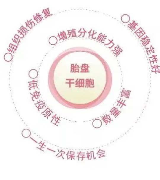 漢氏聯合免疫細胞存儲