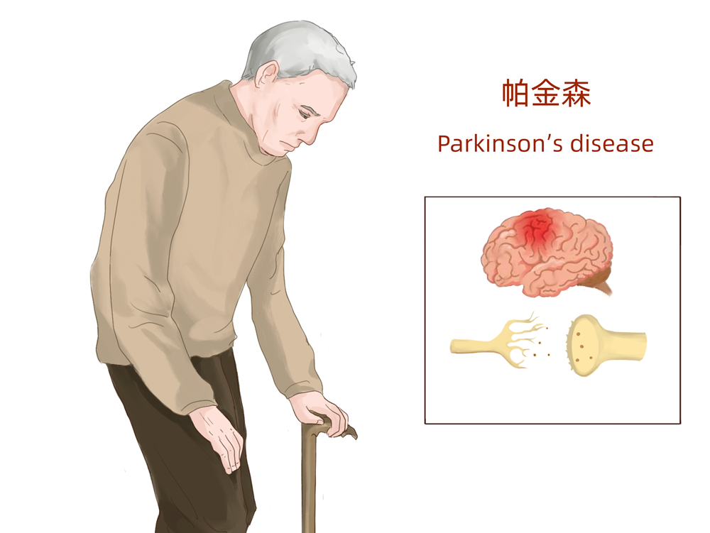 漢氏聯(lián)合 存儲胎盤干細(xì)胞 存儲健康