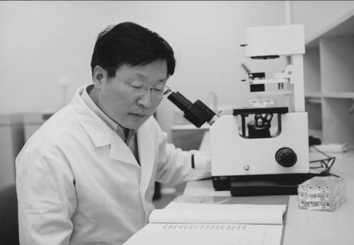 圍產(chǎn)期干細胞逐步走向臨床應用